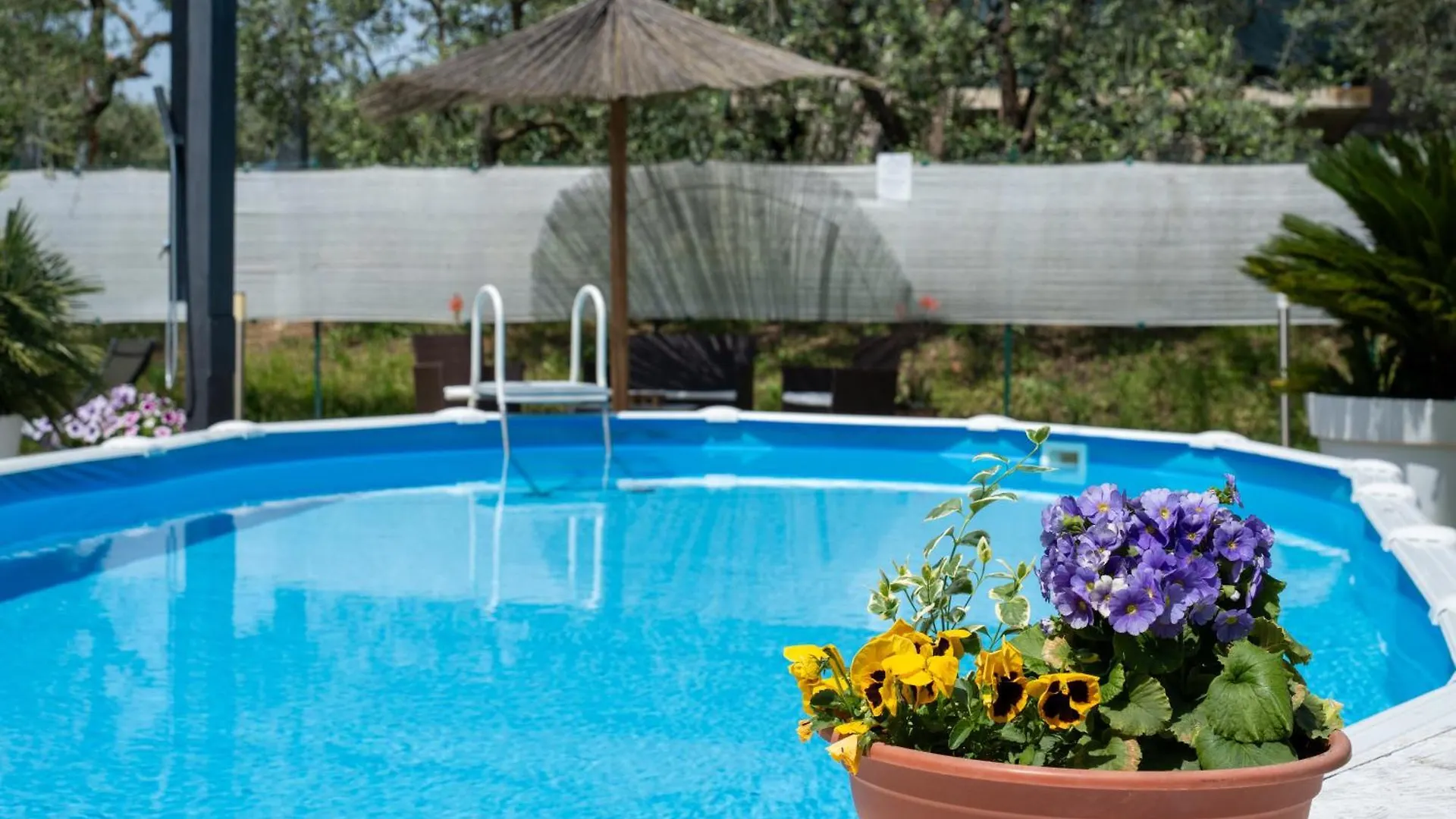 Holiday home Le Cerbaie - Casa Vacanze Lamporecchio