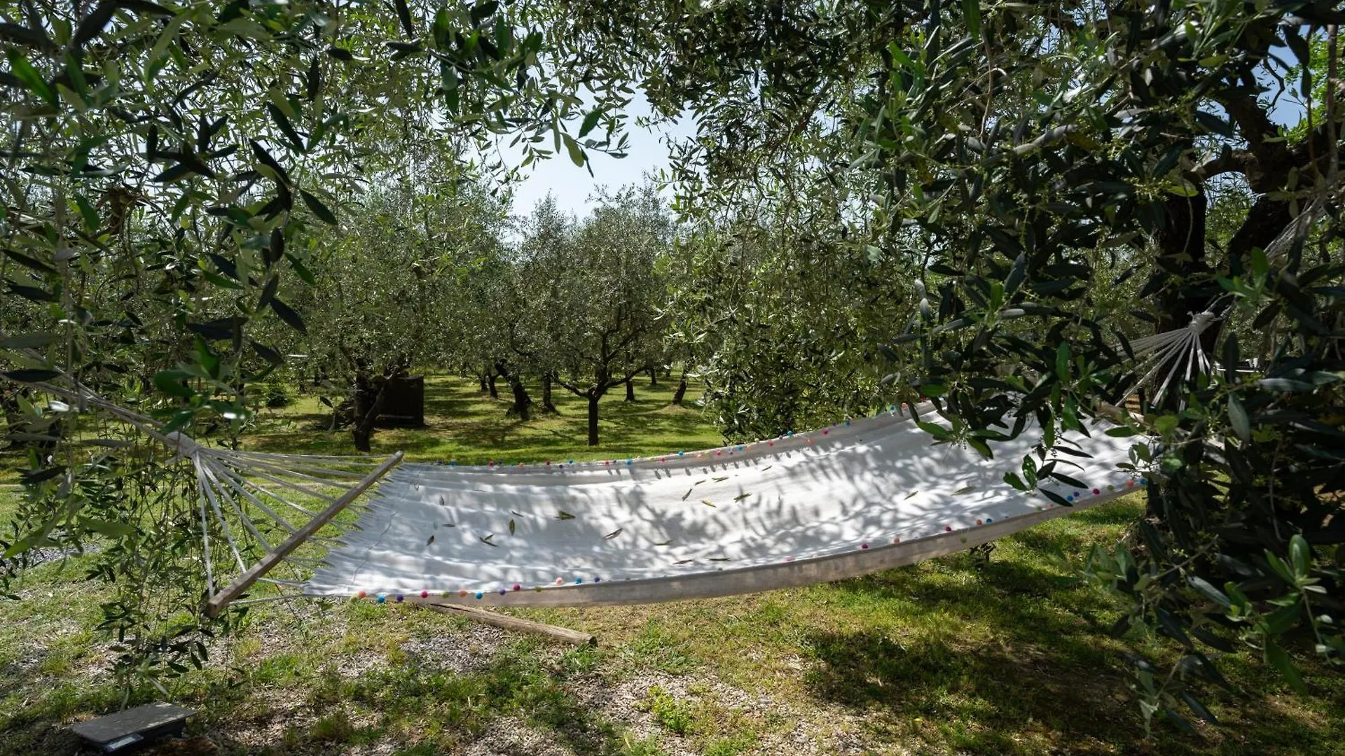 Holiday home Le Cerbaie - Casa Vacanze Lamporecchio Italy